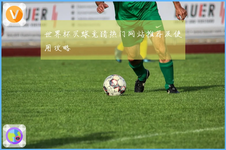 世界杯买球竞猜热门网站推荐及使用攻略