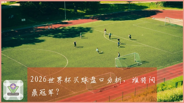 2026世界杯买球盘口分析，谁将问鼎冠军？