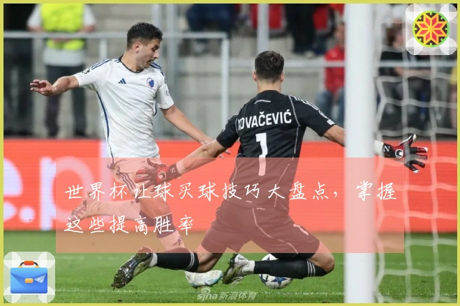 世界杯让球买球技巧大盘点，掌握这些提高胜率