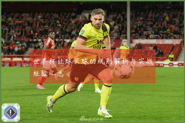 世界杯让球买球的规则解析与实战经验汇总
