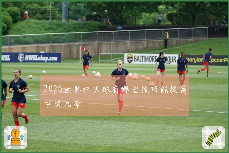 2026世界杯买球有哪些技巧能提高中奖几率