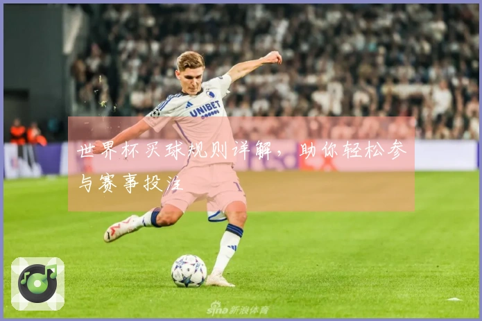 世界杯买球规则详解，助你轻松参与赛事投注