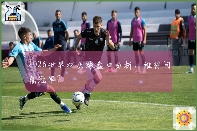 2026世界杯买球盘口分析，谁将问鼎冠军？